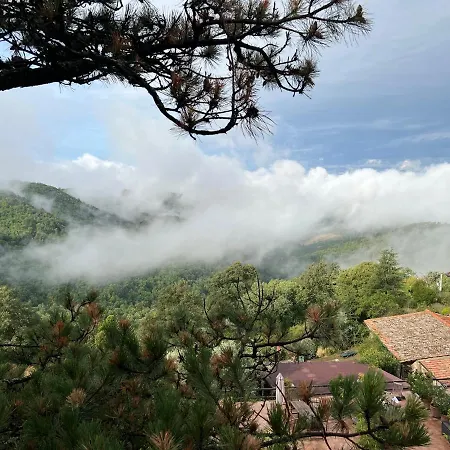 Podere L'aquila * Gaiole in Chianti