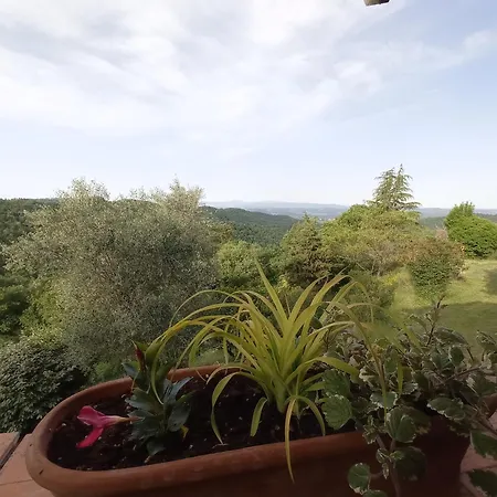 Podere L'aquila Apartmán Gaiole in Chianti