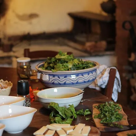 Podere L'aquila Apartment Gaiole in Chianti