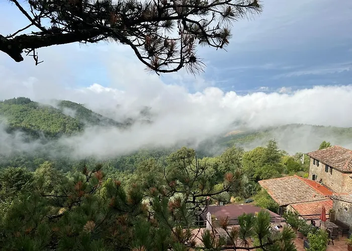 Podere L'aquila * Gaiole in Chianti