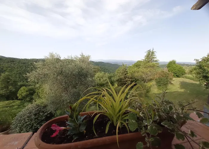 Podere L'aquila Appartement Gaiole in Chianti