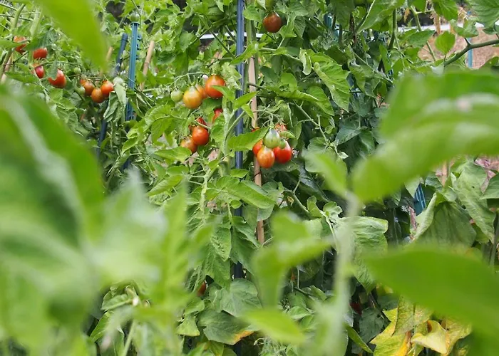 Podere L'aquila Appartement *